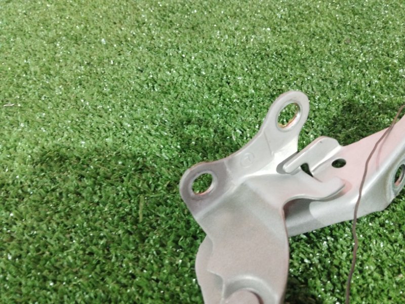 Петля (Шарнир капота), 800 рублей, Солонцы