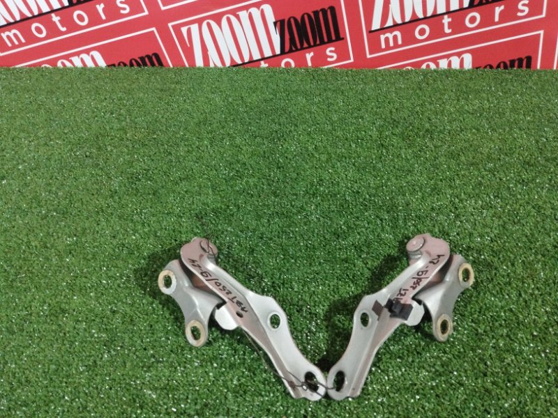 Петля (Шарнир капота), 800 рублей, Солонцы