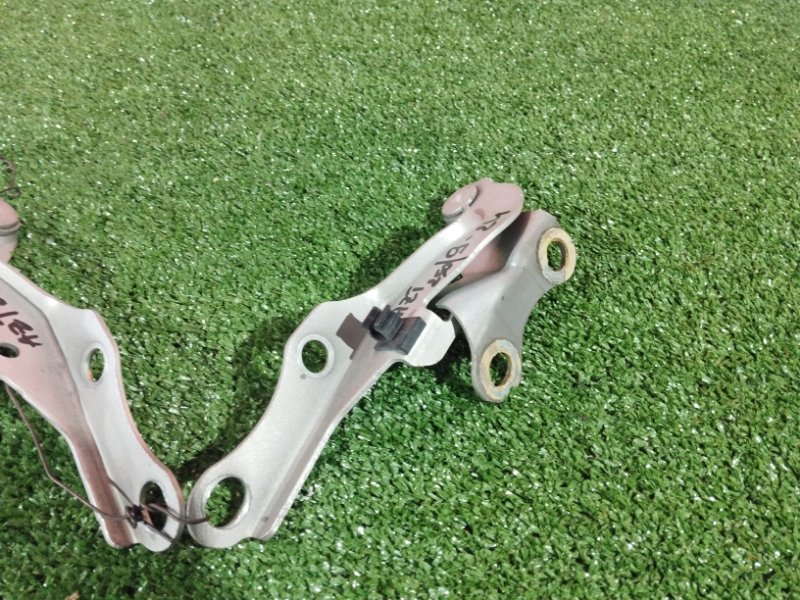 Петля (Шарнир капота), 800 рублей, Солонцы