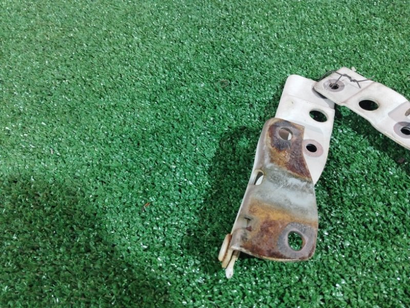 Петля (Шарнир капота), 500 рублей, Солонцы