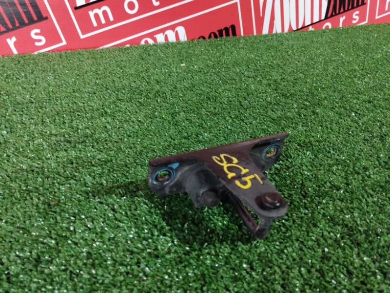 Петля капота, 300 рублей, Солонцы