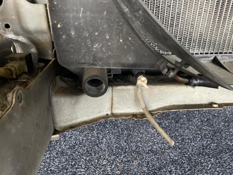 Ноускат, 57000 рублей, Солонцы