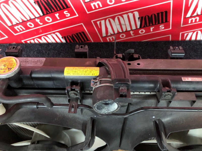 Nose cut, 45000 рублей, Солонцы