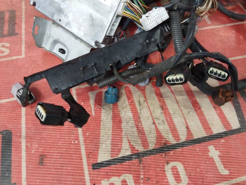 Электропроводка, 7600 рублей, Солонцы