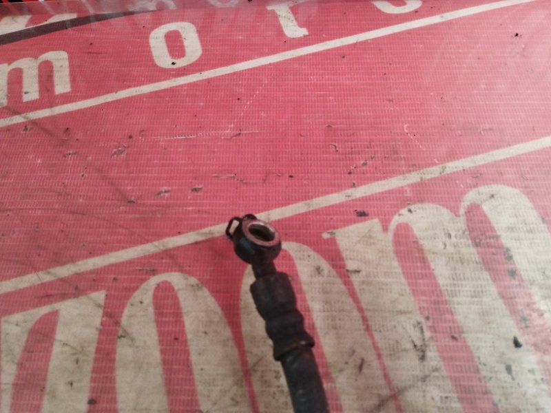 Шланг тормозной, 300 рублей, Солонцы