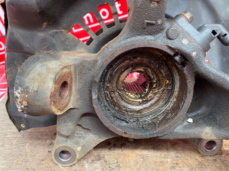 Ступица, 1000 рублей, Солонцы