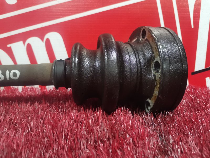 Привод, 2400 рублей, Солонцы