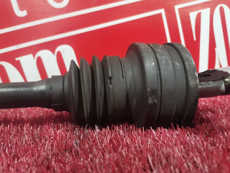 Привод, 2300 рублей, Солонцы