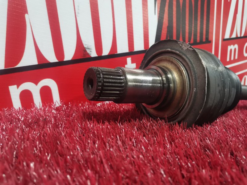 Привод, 2300 рублей, Солонцы