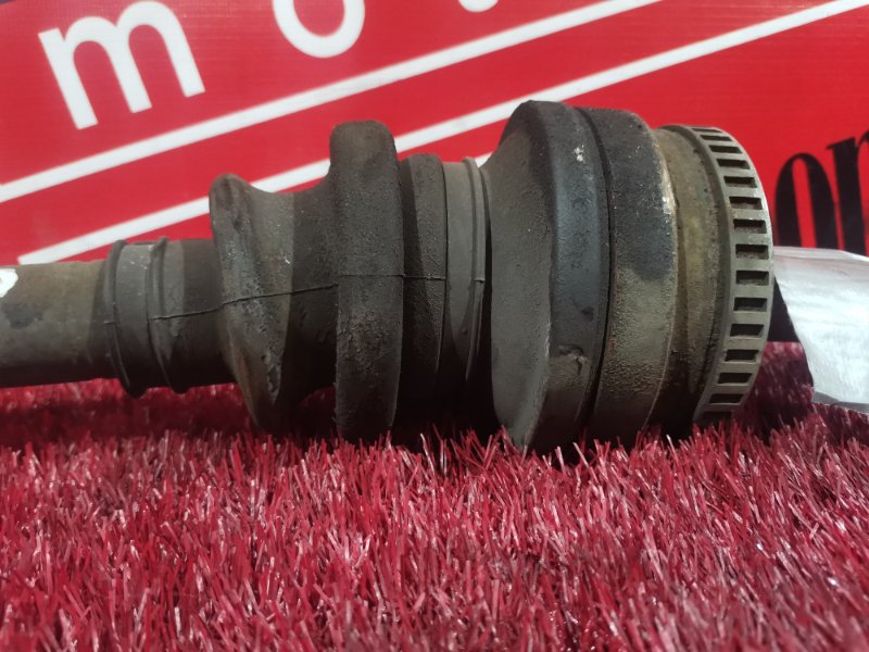 Привод, 3300 рублей, Солонцы