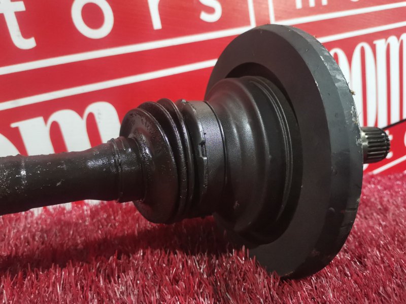 Привод, 2300 рублей, Солонцы