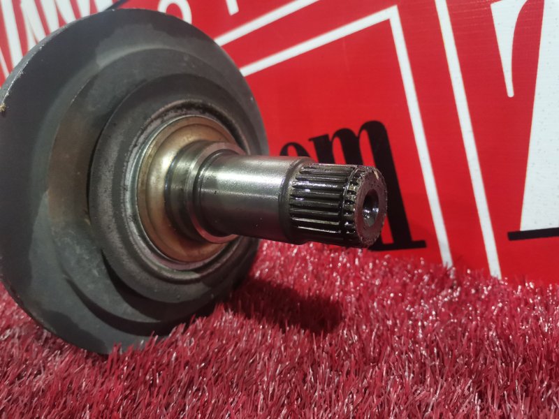 Привод, 2300 рублей, Солонцы