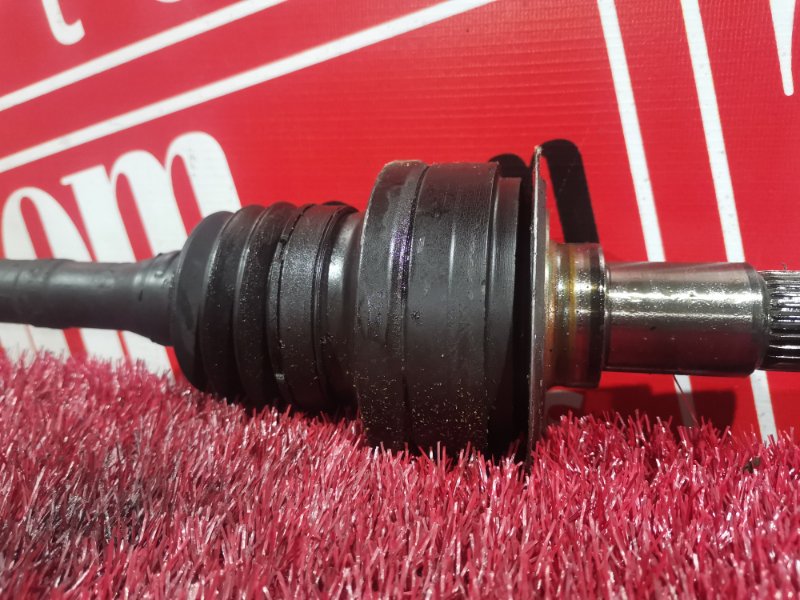 Привод, 2300 рублей, Солонцы