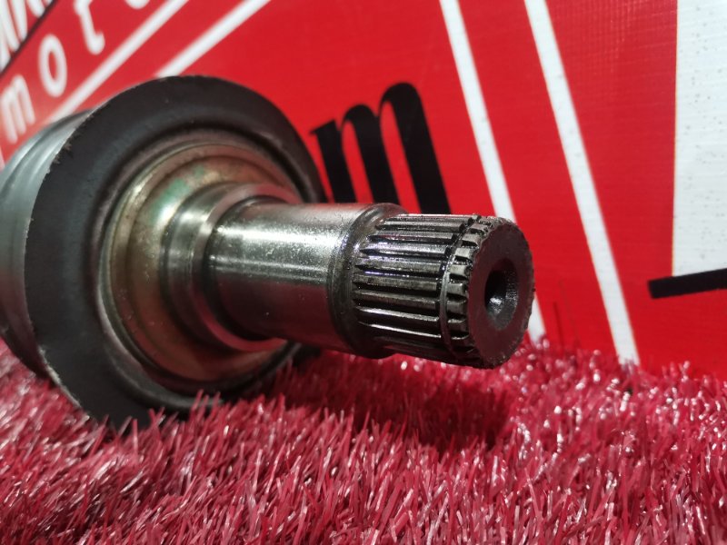 Привод, 2300 рублей, Солонцы