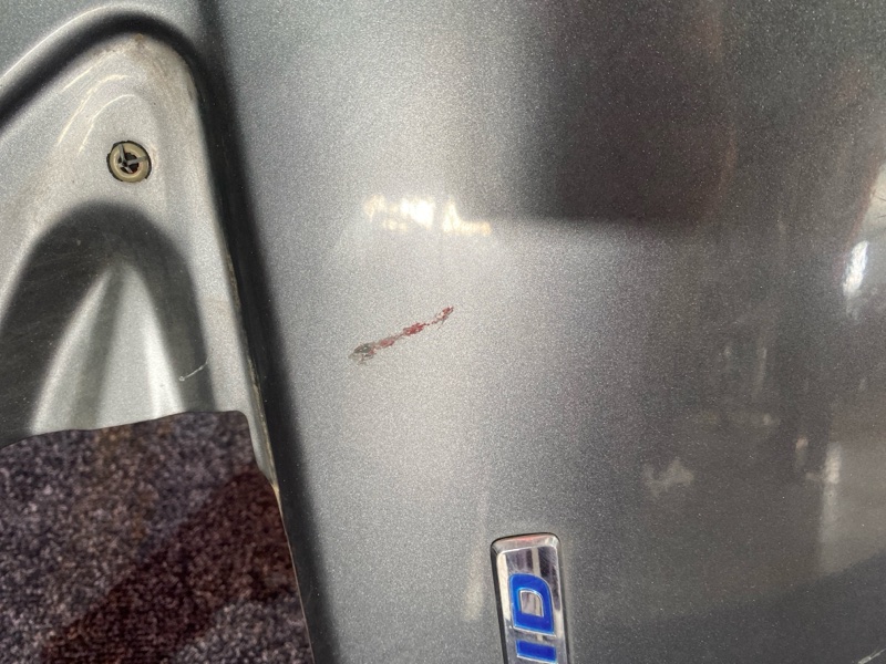 Крыло, 4300 рублей, Солонцы