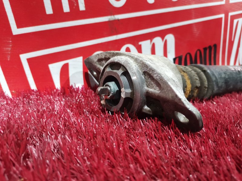 Амортизатор, 1200 рублей, Солонцы