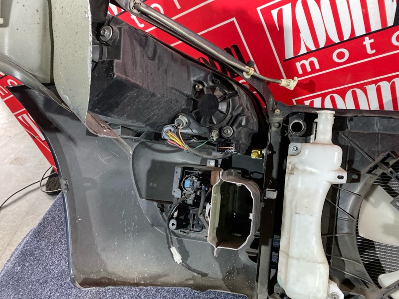 Nose cut, 28500 рублей, Солонцы