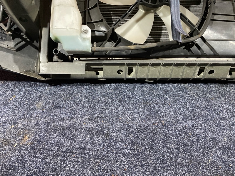 Nose cut, 28500 рублей, Солонцы