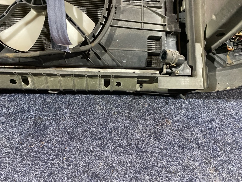 Nose cut, 28500 рублей, Солонцы