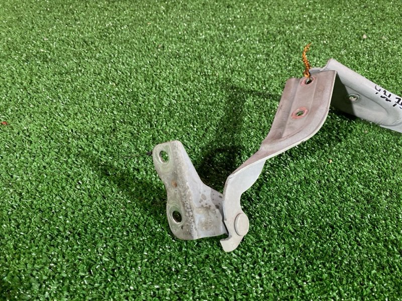 Петля (Шарнир капота), 900 рублей, Солонцы