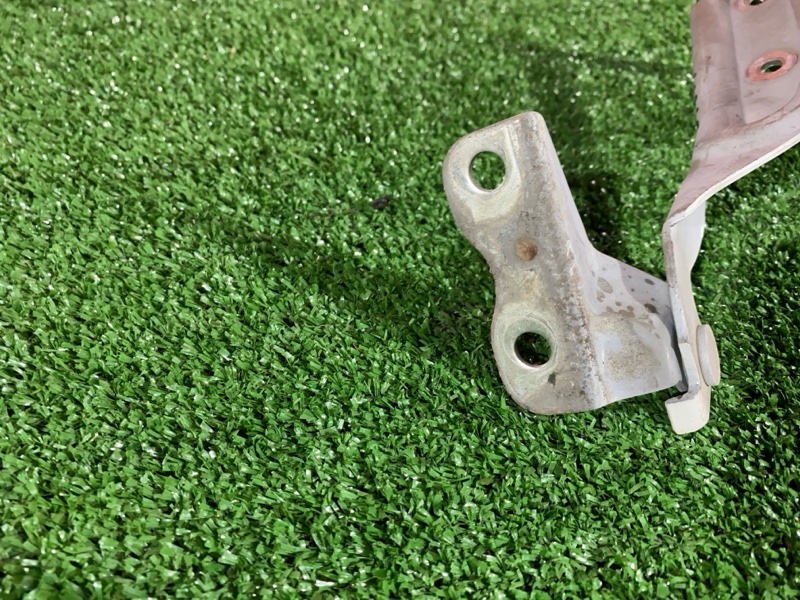 Петля (Шарнир капота), 900 рублей, Солонцы