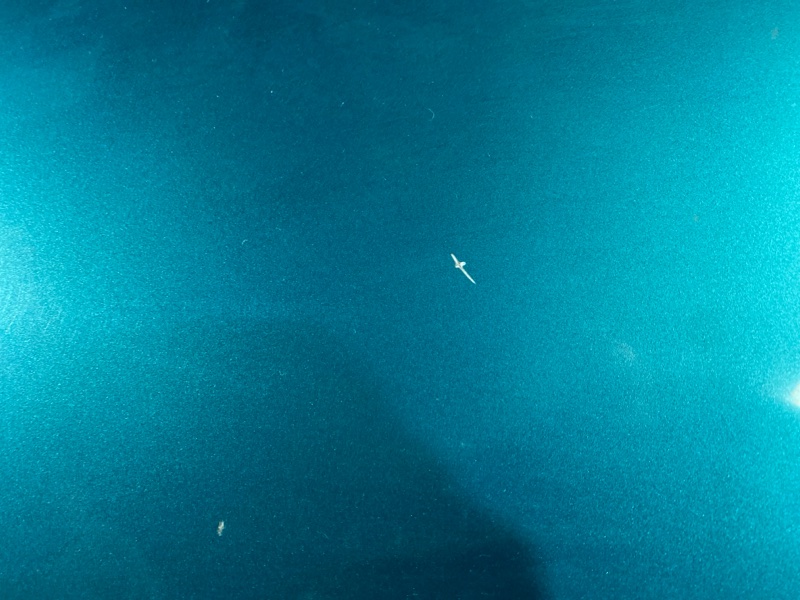 Капот, 30000 рублей, Солонцы