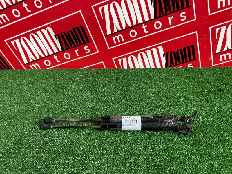 Амортизатор багажника, 500 рублей, Солонцы