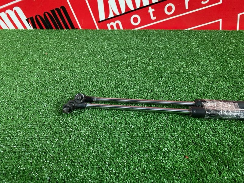 Амортизатор багажника, 500 рублей, Солонцы