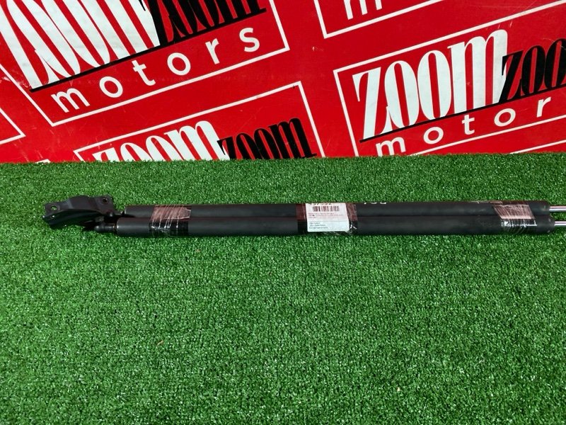 Амортизатор багажника, 2900 рублей, Солонцы