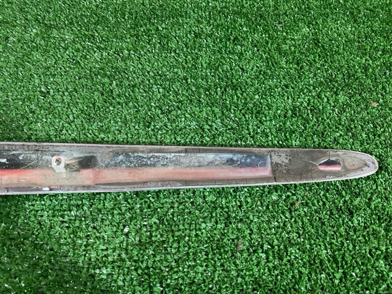 Молдинг, 1000 рублей, Солонцы