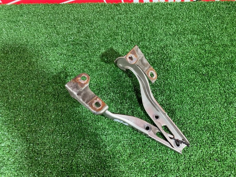 Петля (Шарнир капота), 500 рублей, Солонцы