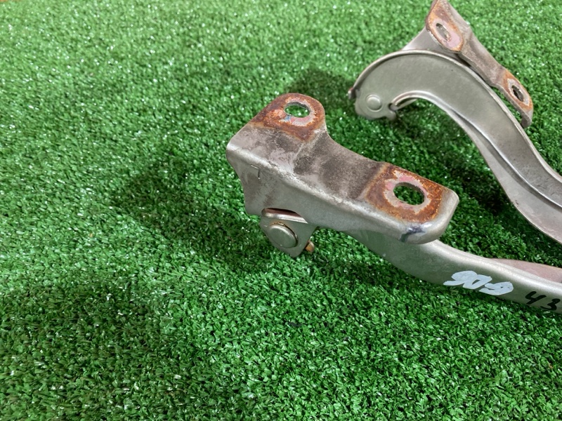 Петля (Шарнир капота), 500 рублей, Солонцы