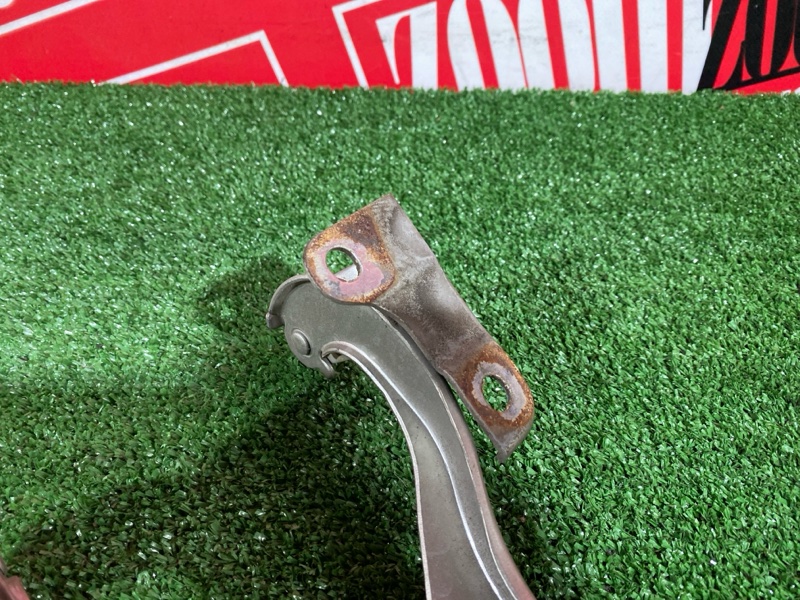 Петля (Шарнир капота), 500 рублей, Солонцы