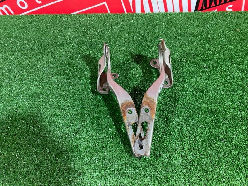 Петля (Шарнир капота), 500 рублей, Солонцы