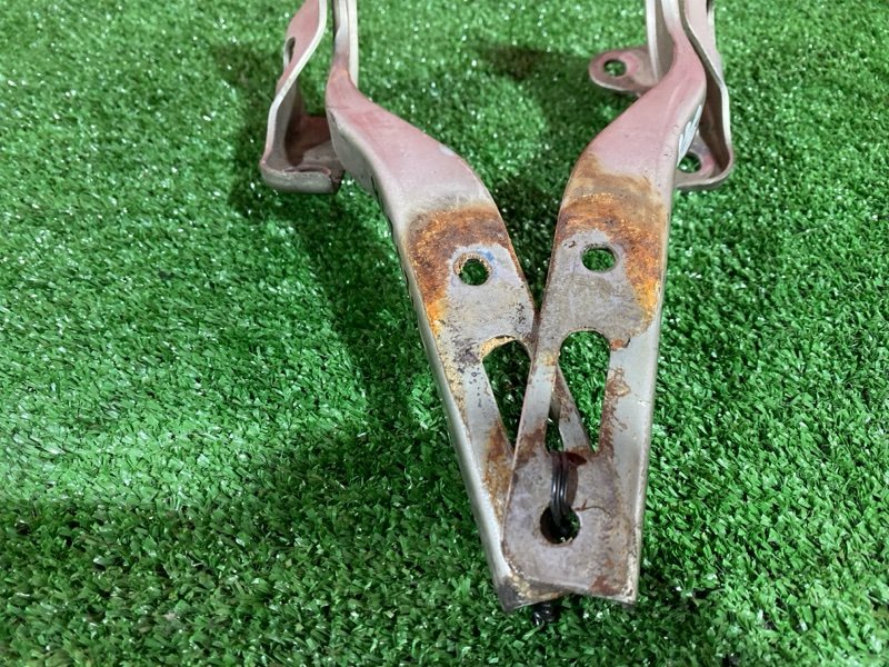 Петля (Шарнир капота), 500 рублей, Солонцы