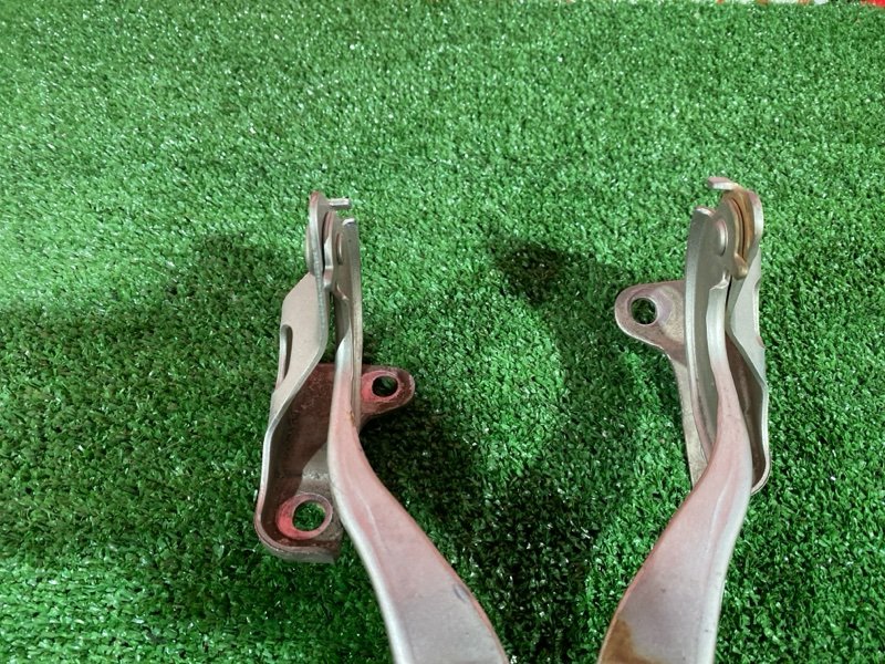 Петля (Шарнир капота), 500 рублей, Солонцы