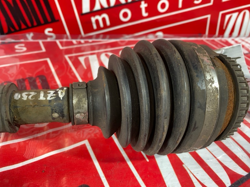 Привод, 4300 рублей, Солонцы