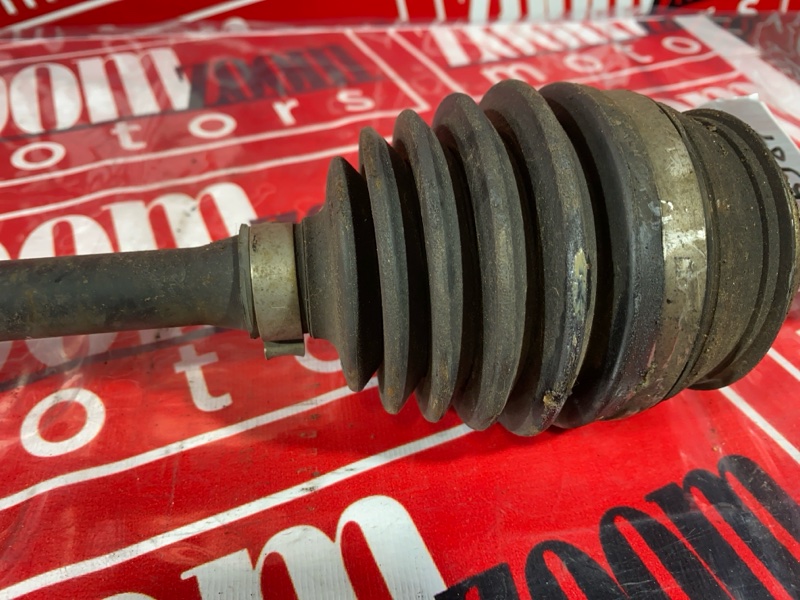 Привод, 6000 рублей, Солонцы