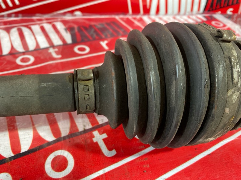 Привод, 3800 рублей, Солонцы