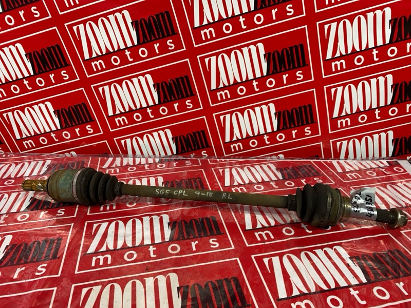 Привод, 1000 рублей, Солонцы