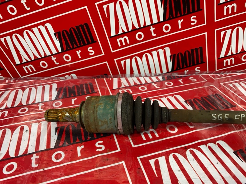 Привод, 1000 рублей, Солонцы