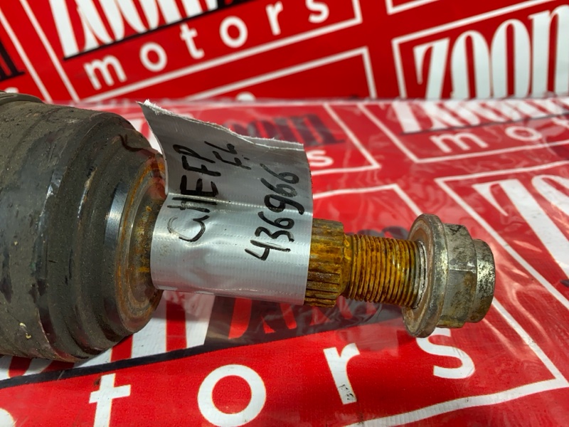 Привод, 3400 рублей, Солонцы