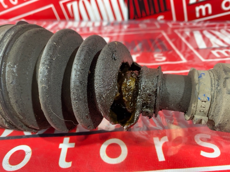 Привод, 8600 рублей, Солонцы