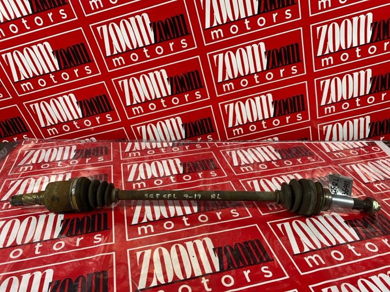 Привод, 1000 рублей, Солонцы