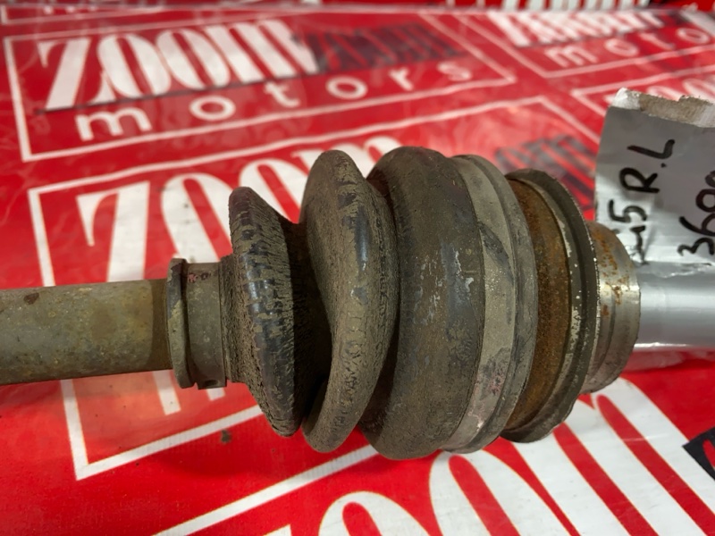 Привод, 1000 рублей, Солонцы