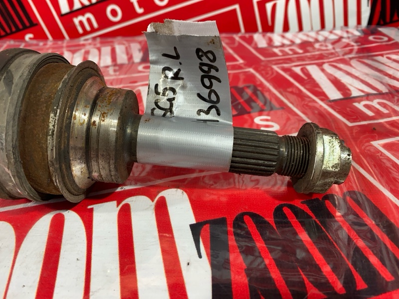 Привод, 1000 рублей, Солонцы