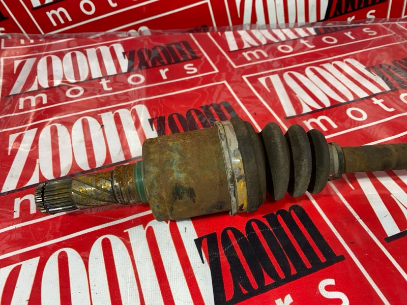 Привод, 1000 рублей, Солонцы