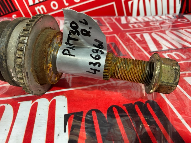 Привод, 1500 рублей, Солонцы