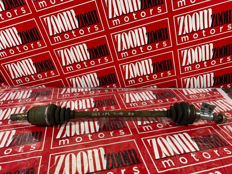 Привод, 1000 рублей, Солонцы