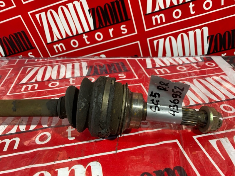 Привод, 1000 рублей, Солонцы